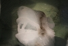 20090219123713.jpg
