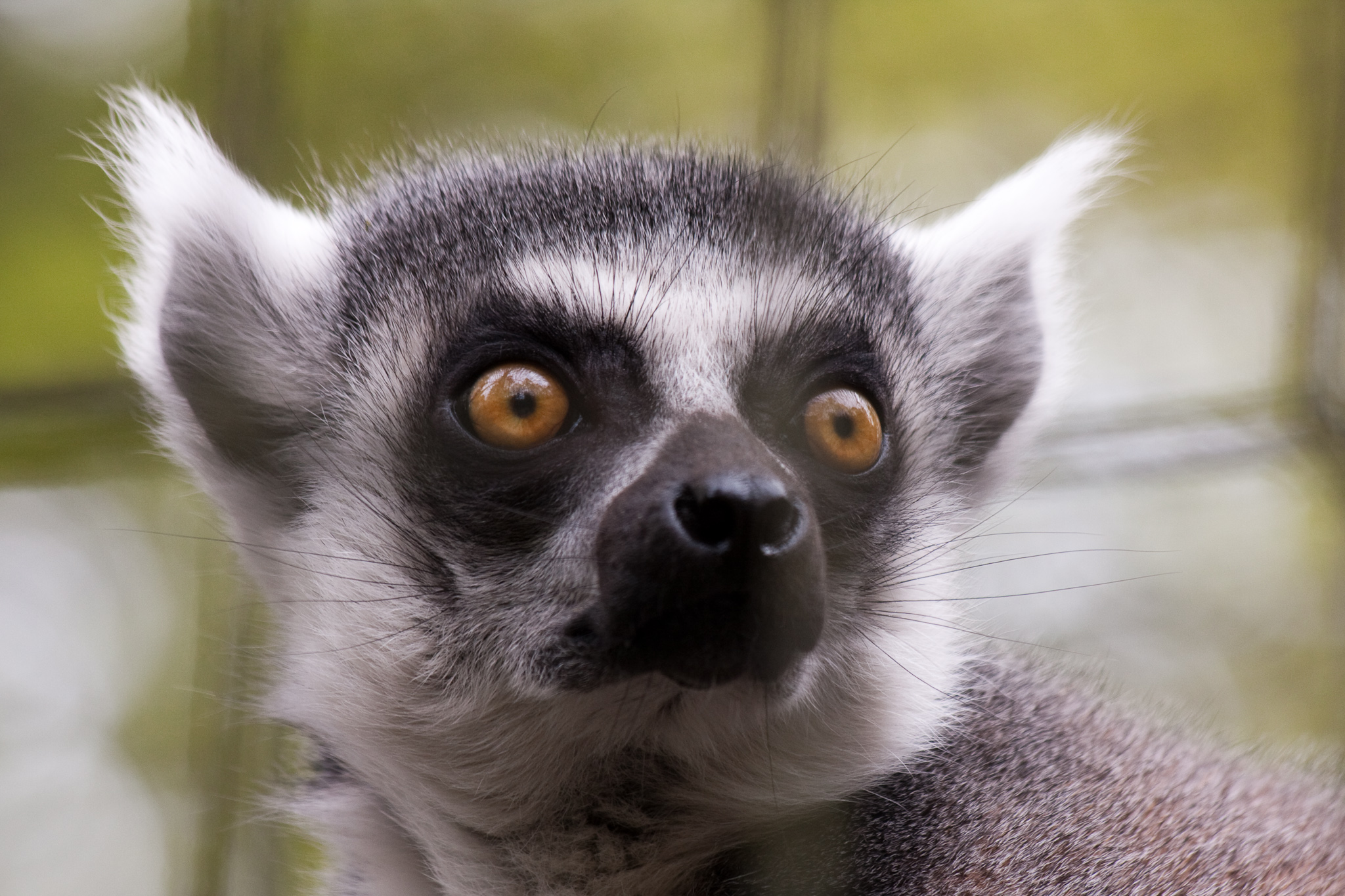 Dierenpark Amersfoort